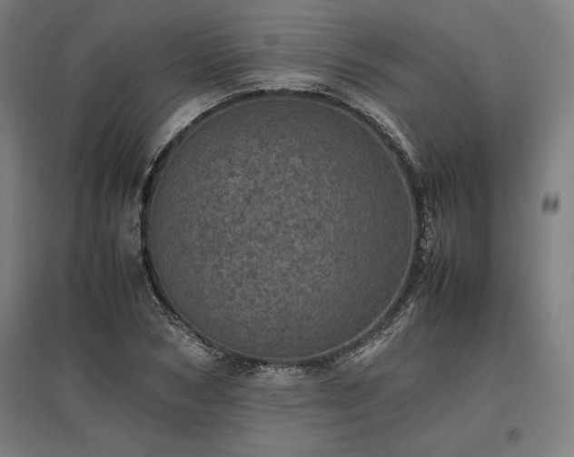 X0000096980978200802151326