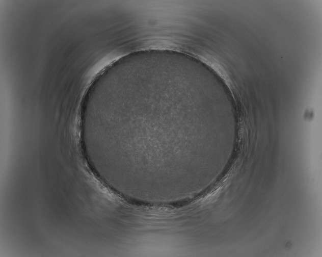 X0000096980979200802151326