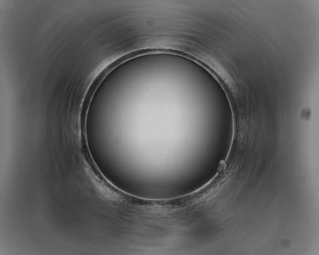 X0000096980980200802151326