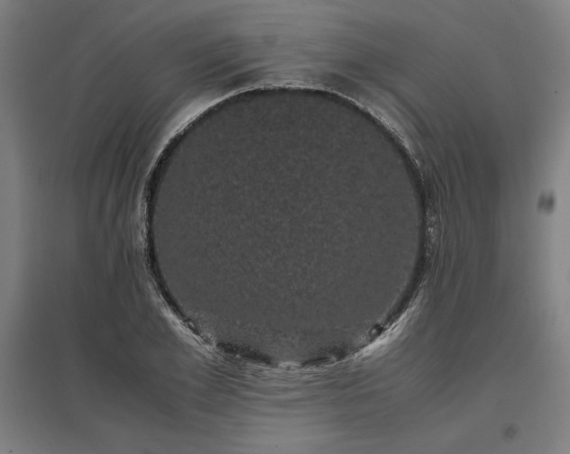 X0000096980981200802151326