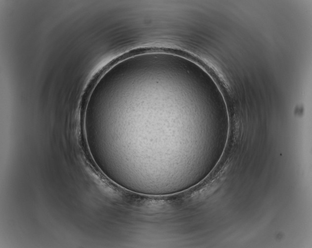 X0000096980982200802151326