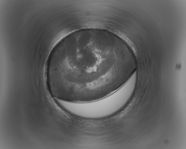 X0000096980983200802151326