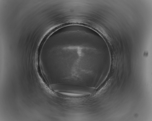 X0000096980984200802151326