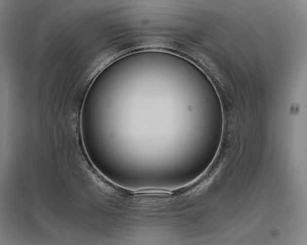 X0000096980985200802151326