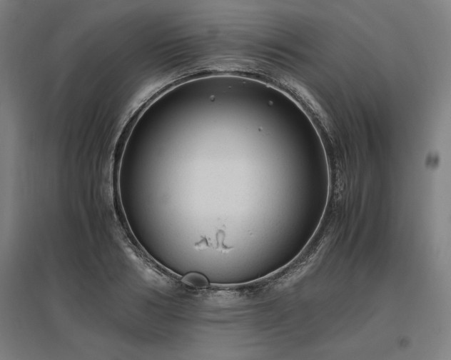 X0000096980986200802151326