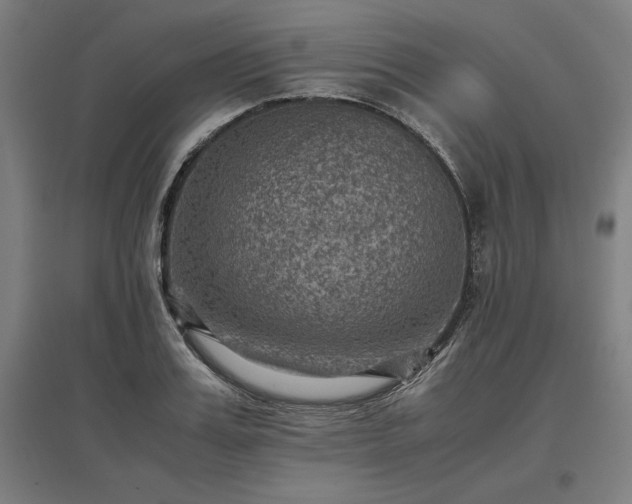 X0000096980987200802151326