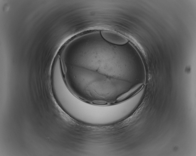 X0000096980988200802151326