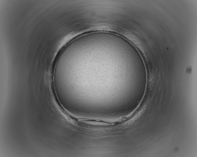 X0000096980989200802151326