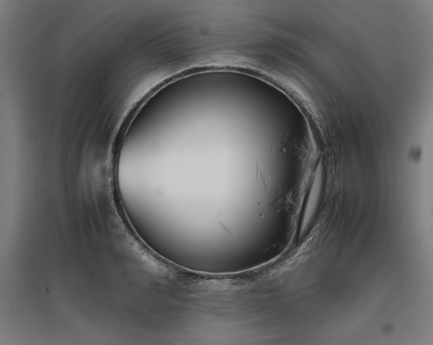 X0000096980990200802151326