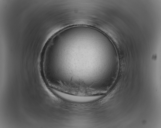X0000096980991200802151326