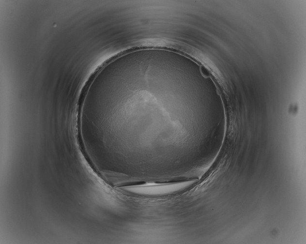 X0000096980992200802151326