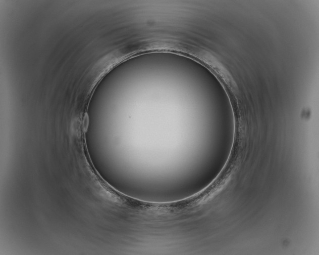 X0000096980993200802151326