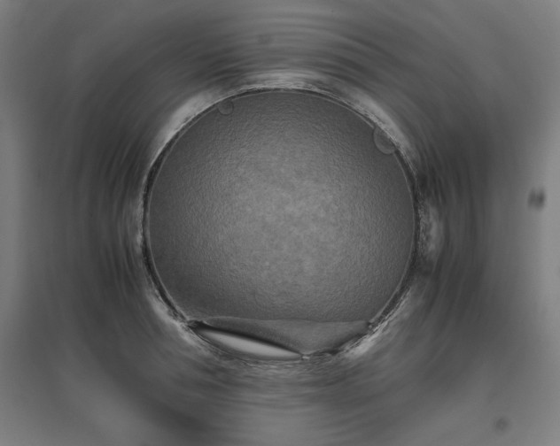 X0000096980994200802151326