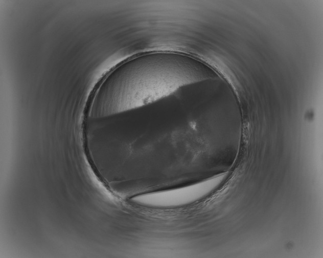 X0000096980995200802151326