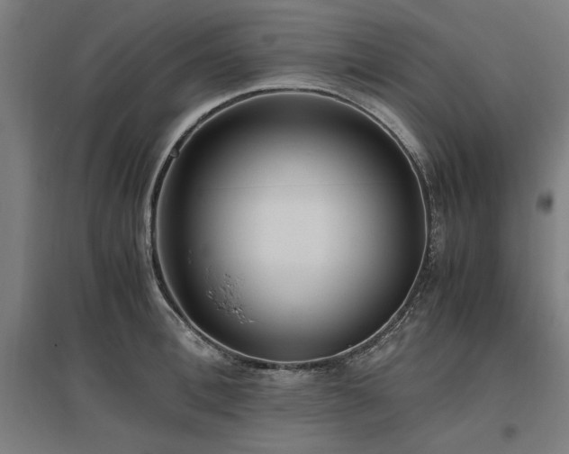 X0000096980996200802151326