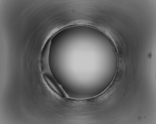 X0000096980997200802151326