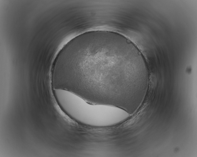 X0000096980998200802151326