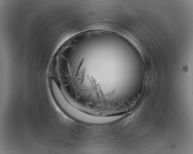 X0000096980999200802151326