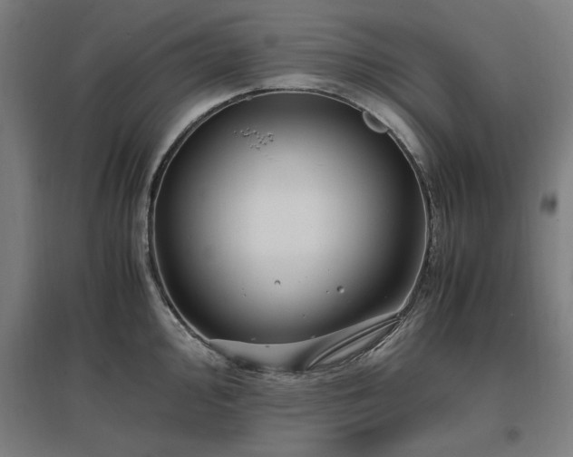 X0000096981000200802151326