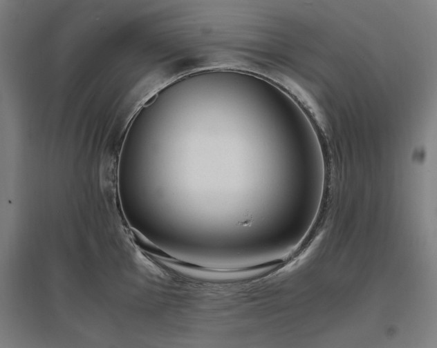 X0000096981001200802151326