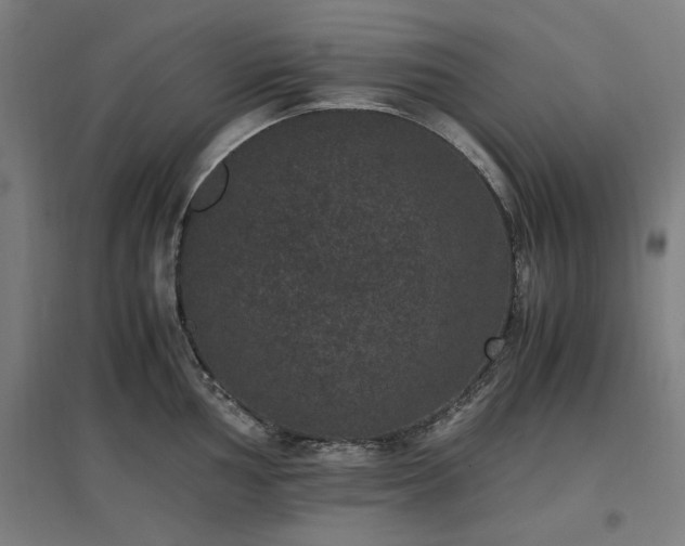 X0000096981002200802151326