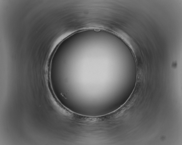 X0000096981003200802151326