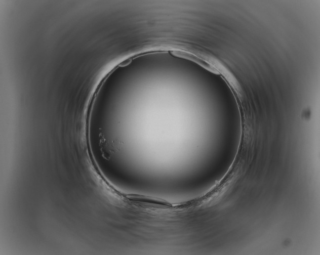 X0000096981004200802151326