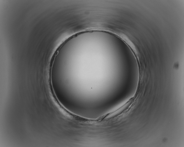 X0000096981005200802151326