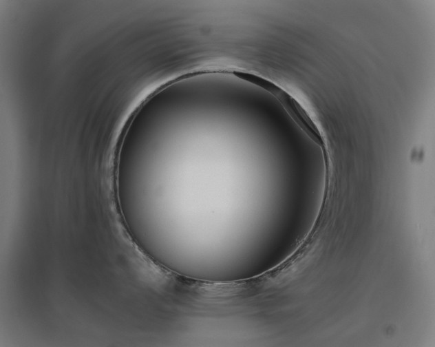 X0000096981008200802151326