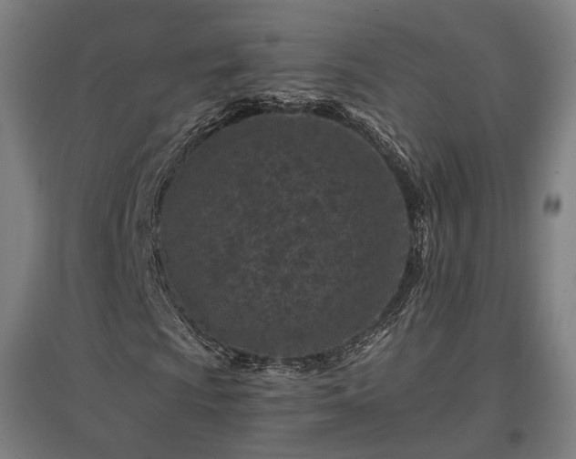 X0000096981009200802151325