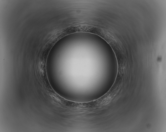 X0000096981010200802151325