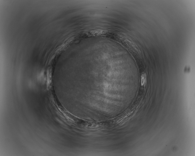 X0000096981011200802151325