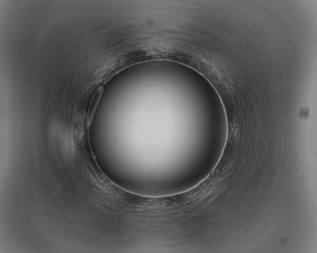 X0000096981012200802151325