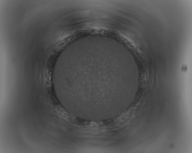 X0000096981013200802151325