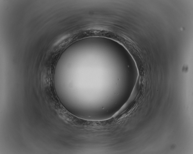 X0000096981014200802151325