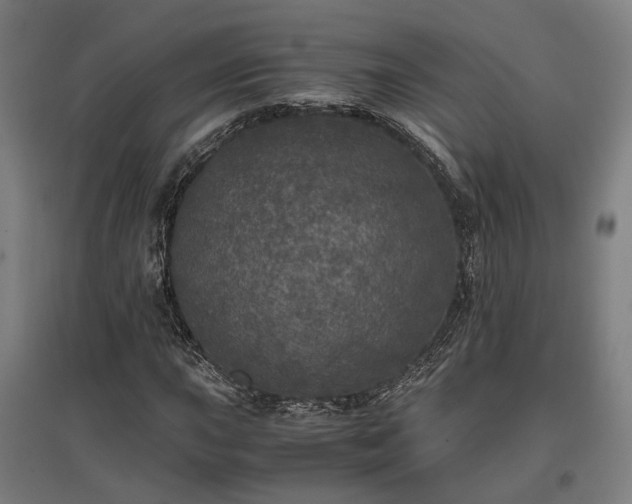 X0000096981015200802151325