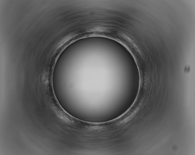 X0000096981017200802151325