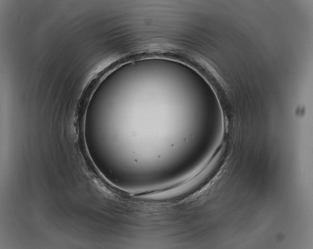 X0000096981018200802151326