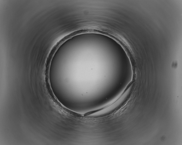 X0000096981020200802151326