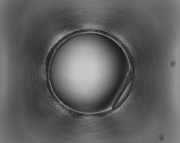 X0000096981022200802151326