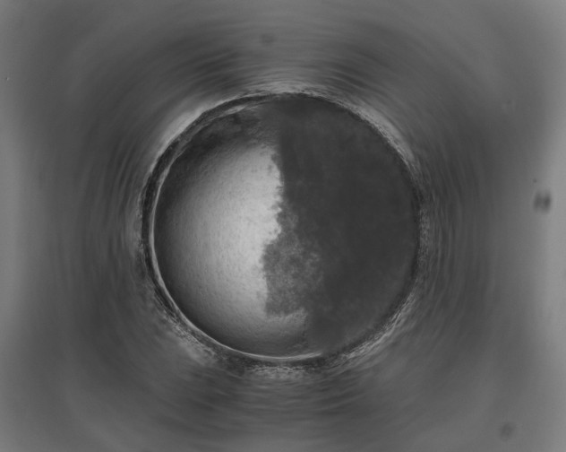 X0000096981023200802151326