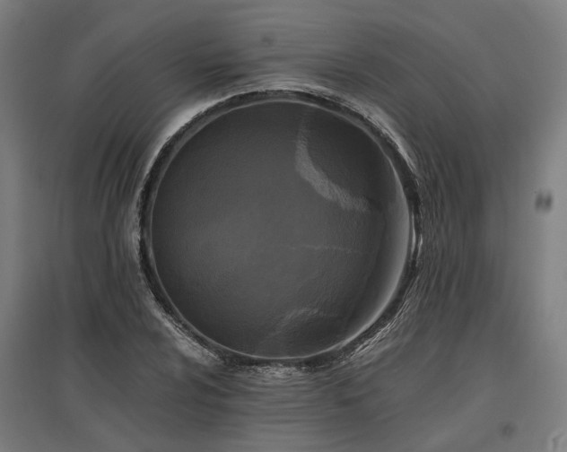 X0000096981024200802151326