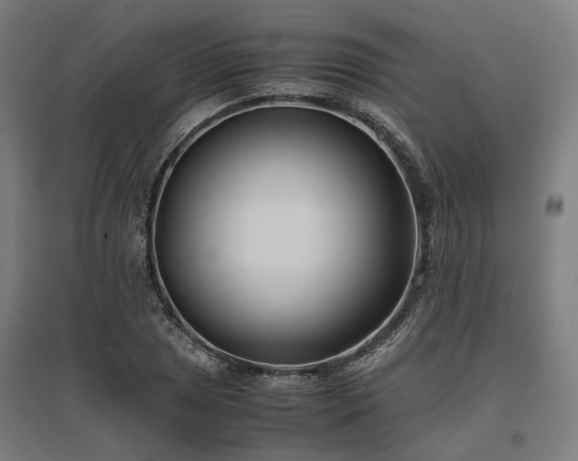 X0000096981025200802151326