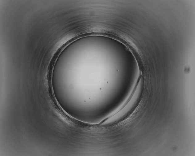 X0000096981026200802151326