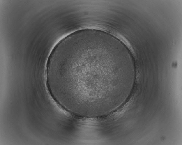 X0000096981028200802151326
