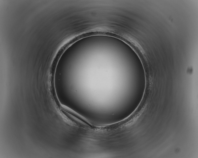 X0000096981029200802151326