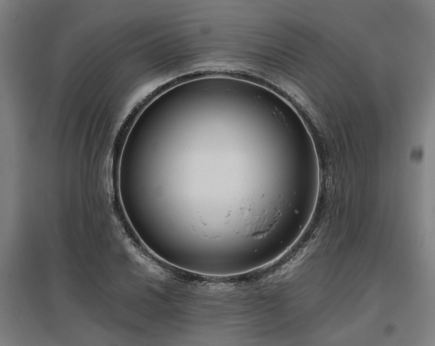 X0000096981030200802151326