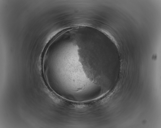 X0000096981031200802151326