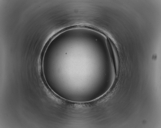 X0000096981032200802151326