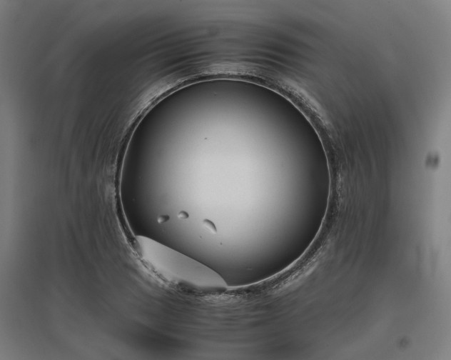 X0000096981033200802151326